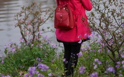 藏爱阁在线视频